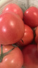京鲜生 山东普罗旺斯沙瓤西红柿 净重3斤 单果90g起 沙瓢番茄 源头直发 实拍图