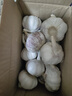 【营田半亩】蒜干蒜头蒜大蒜紫白皮大蒜当季蔬菜0.5-5斤 2斤带箱重【果径4.5-5cm】大果 实拍图