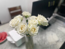 京东鲜花玫瑰花随机2色20枝山东基地新鲜采摘送男女朋友枝长40cm源头直发 实拍图