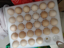 京鲜生富硒鲜鸡蛋30枚 3斤 源头直发 实拍图