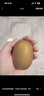 佳沛（zespri）新西兰 阳光金奇异果12粒礼盒特大果单果约122-146g 猕猴桃 水果 实拍图