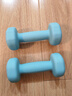 朗威哑铃女士哑铃套装组合小学儿童小哑铃练臂肌塑形初学健身家用器材 【纯铁】水蓝色-2kg*2只 1KG 起【健身塑型】 实拍图