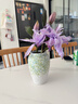 范爷家陶瓷花瓶高颜值清新森系水培鲜花装饰摆件大口径客厅餐桌干花花器 实拍图