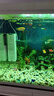 森森鱼缸过滤器三合一内置小型水族箱过滤系统增氧泵XQP-1000F 15W 实拍图