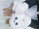 黛米安妮莎手套女冬季可爱毛绒绒小猫咪少女风韩版百搭学生露指手套两用秋冬天加厚保暖卡通翻盖半指手套 猫咪白色 翻盖款 实拍图