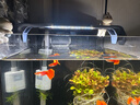 吉印刀锋s鱼缸灯led灯防水全光谱鱼缸照明灯水草灯小型超白鱼灯16cm 实拍图