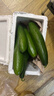 山东寿光水果黄瓜生吃脆新鲜荷兰青瓜当季无刺小黄瓜源头直发 精品水果黄瓜 2斤 实拍图