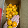 京鲜生 广西砂糖橘 净重4.5斤 单果35-45mm  生鲜礼品 源头直发包邮 实拍图