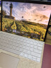 微软（Microsoft）Surface Pro 第11版 二合一笔记本电脑 国家政府补贴 轻薄本 AI+PC 骁龙X Elite 16G 1T 沙漫金 实拍图