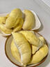 京鲜生 进口金枕头榴莲 巴掌榴莲 2-3斤 1个装  鲜果 生鲜 新鲜水果 实拍图