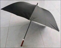 天玮伞业（Tianwei umbrella）雨伞长柄伞大号超大伞自动男士直杆伞高尔夫商务伞晴雨伞可定制 实拍图