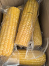京鲜生 东北黄玉米260g*10棒 真空包装黏玉米棒粘玉米 源头直发 实拍图