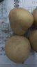 京喜加新鲜黄心土豆农家自种黄皮马铃薯黄心洋芋新鲜蔬菜 250g 实拍图
