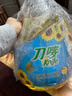 刀唛（Knife）葵花籽油4.68L 物理压榨一级食用油 香港品质 实拍图