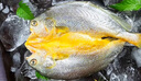 三都港 醇香黄鱼鲞350g/2条装 三去黄花鱼 深海鱼 生鲜 鱼类 海鲜 实拍图