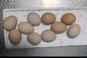我老家农家养现捡新鲜初生蛋谷物柴鸡蛋盒装 30枚装1200g 实拍图