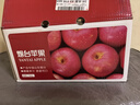 京鲜生 烟台红富士苹果 净重10斤 单果190g以上 生鲜水果 礼盒装 实拍图