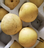 樱慕晴【JD地标认证】正宗辽宁鞍山南果梨东北特产南国梨香水梨新鲜水果 【普装大果黄梨】约24枚 4.5斤 实拍图