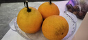 京鲜生 爱媛果冻橙 净重5斤 单果130g起 生鲜水果桔子礼盒 实拍图