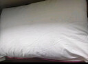 水星家纺枕头枕芯酒店枕头护颈枕头芯家用单个纯棉抗菌可水洗低枕48x74cm 实拍图