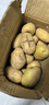 新鲜土豆现挖现发山东正宗黄心黄肉当季蔬菜马铃薯洋芋薯条3两起 山东土豆带箱4斤 中大果 实拍图