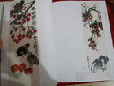 4册《齐白石画集》一卷花鸟二卷果蔬三卷鱼虾蟹四卷山水人物8开画册写意范本书籍虫草牡丹荷花中国画技法教材程 实拍图