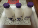 光明致优A2巴氏杀菌奶800ml*3 实拍图