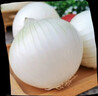全疆集新疆白洋葱 皮牙子新鲜蔬菜 生吃凉拌 白洋葱 5斤 实拍图