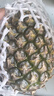 正宗海南金钻凤梨新鲜水果当季树上熟芒果凤梨【催熟食用】 1粒装单果500g-650g【7成熟，催熟再吃】 实拍图