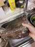 鲜拔头筹鲽鱼身蝶鱼中段 格陵兰深海鸦片鱼头比目鱼进口生鲜海鲜 精品 鲽鱼身净重 2.5kg （3-5块） 实拍图