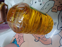 金龙鱼 食用油 非转基因 物理压榨玉米油6.18L（蕴含植物甾醇） 实拍图