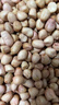 白沙花生米农家新货不带壳大颗粒新鲜干货花生仁散装商用家用 新货花生米【大颗粒】 2500g 实拍图