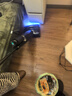 添可芙万StretchSteam【系列热销170万+台】蒸汽躺平洗地机0缠毛吸拖一体自动清洗拖地扫地机器人 实拍图