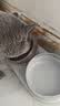 网易严选猫粮【推荐】全价猫粮 幼猫成猫主粮猫咪食品 一口9种肉 【多猫家庭】原野禽肉口味 1.8kg*6袋 实拍图