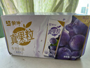 蒙牛真果粒葡萄味250g*12盒 小黄鸭IP定制装送礼盒装新老包装随机 实拍图