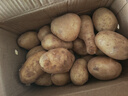 京鲜生恩施土豆5斤装单果100g以上新鲜黄心土豆马铃薯 源头直发 实拍图