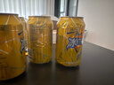 康师傅  冰红茶can 310ml*6罐 茶饮料小罐装 热门商品 实拍图