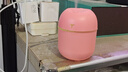 加湿器家用空气加湿器净化器香薰机空调房加湿器喷雾器usb静音卧室孕妇婴儿喷雾宿舍学生女生礼物 标准款【少女粉220ML+纳米雾化+静音加湿】 实拍图