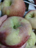 同甘园 正宗天然冰糖心苹果富士 脆甜新鲜山西时令应季丑苹果 节日送礼 净4.5斤单果130-150g精选好果 实拍图