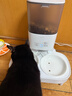霍曼（Homerun）宠物智能自动喂食器猫粮狗粮定时猫咪自动投食机陶瓷双碗增高版 实拍图