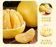 正宗梅州白心蜜柚非沙田柚新鲜水果现摘直发丫丫 中果/1.5-2.5斤 4粒装【实惠】 实拍图