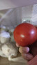 【超市精选】山东沙瓤水果西红柿新鲜番茄蔬菜减肥单果100g起 西红柿中大果 2斤 带箱 实拍图