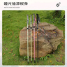 开拓者（pioneer）天狼星2系登山杖碳纤维拐杖铝合金折叠伸缩手杖户外徒步越野 粉 实拍图