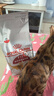 皇家成猫猫粮 营养均衡 F32 通用粮 1-7岁 2KG 实拍图