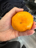京鲜生 浙江涌泉蜜桔 净重4.5-5斤 单果65-75mm 桔香浓郁 源头直发包邮 实拍图