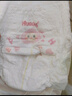 好奇（Huggies）铂金装小桃裤拉拉裤L76片(9-14kg)大号尿不湿【透爽散热】 实拍图