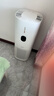 东芝（TOSHIBA）大白梨Pro空气净化器加湿器净化加湿一体机消杀甲流细菌病毒医护级去甲醛除尘除过敏源家用净化器 大白梨净化加湿杀菌除甲醛一体机 实拍图