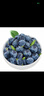 云南8分甜高山蓝莓125g(18mm) 实拍图