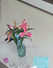 墨斗鱼简约玻璃花瓶 插画水养玫瑰鲜花富贵竹百合生日礼物客厅餐桌摆件 实拍图