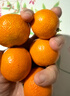 京鲜生 金秋砂糖橘/砂糖桔 5斤 生鲜水果礼盒  实拍图